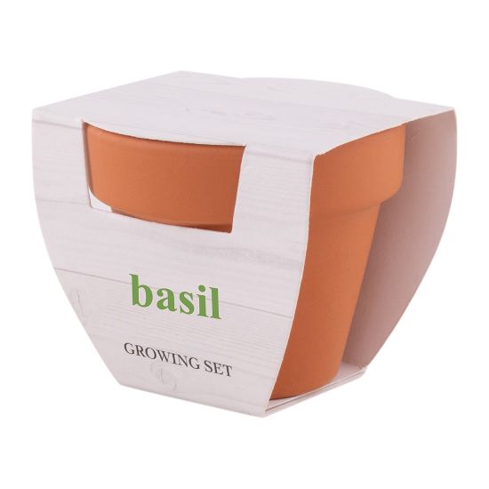 Imagen de Maceta Basil