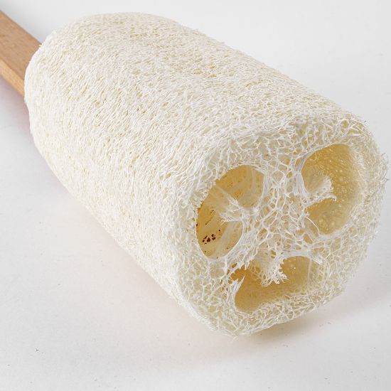 Imagen de Esponja Loofah