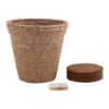 Imagen de Maceta Biodegradable Ceres