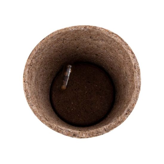 Imagen de Maceta Biodegradable Ceres