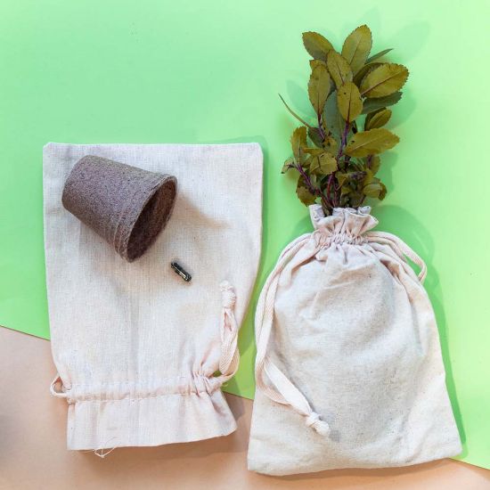 Imagen de Maceta Biodegradable Ceres