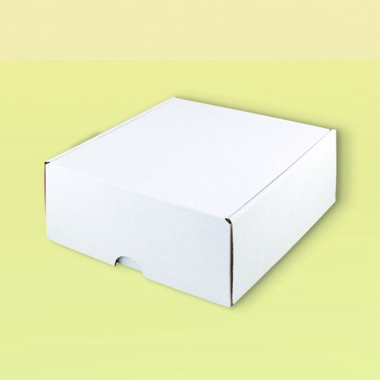 Imagen de Caja Automontable Midi Blanca