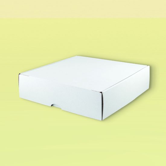 Imagen de Caja Automontable Big Midi Blanca