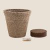 Imagen de Maceta Biodegradable Ceres