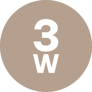 3W