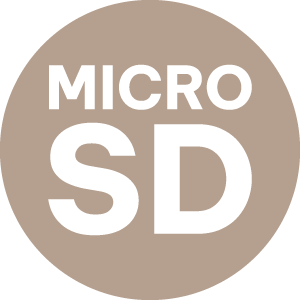 Microsd