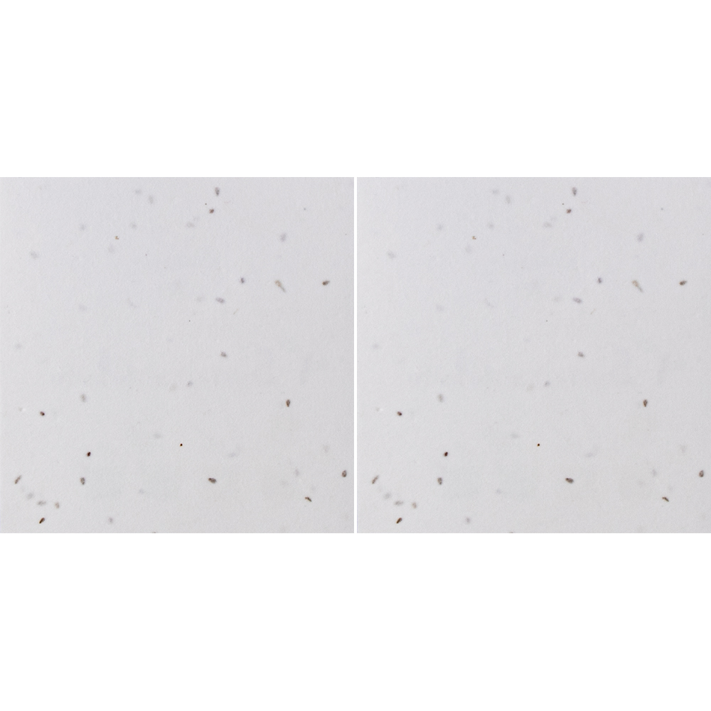 Both - image
