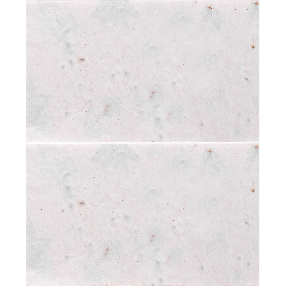 Horizontal - image